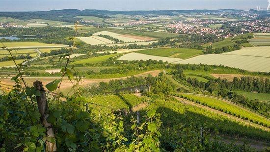 Besenwirtschaft in  Neuss