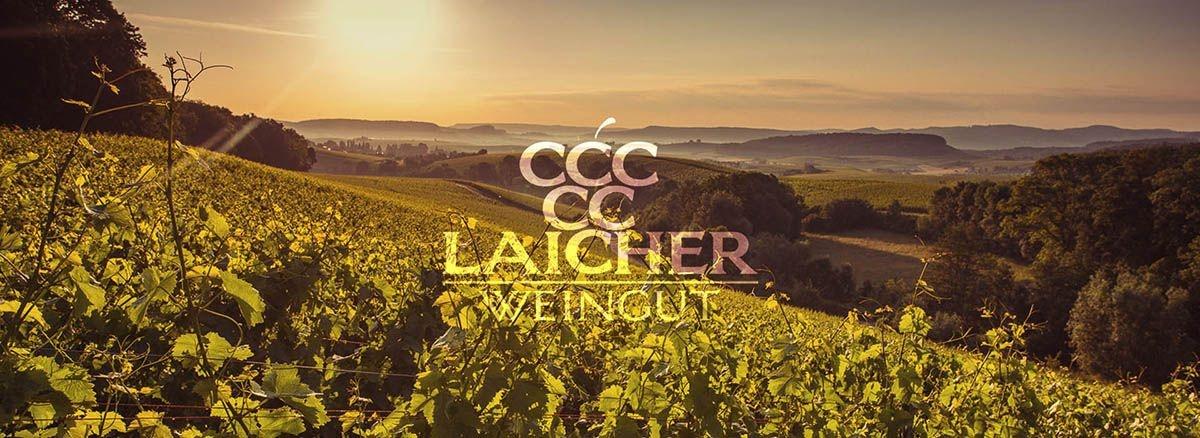 WWeine Dormagen ▷ « Weingut Laicher » ✔️ Weinhändler, Obstbrände